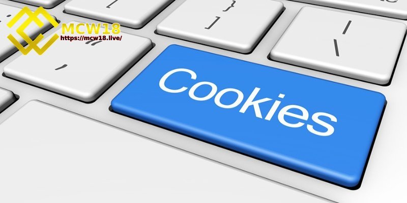 Chính sách bảo mật MCW18 cùng những quy định cụ thể 4 Sử dụng cookie để tối ưu hoá thông tin