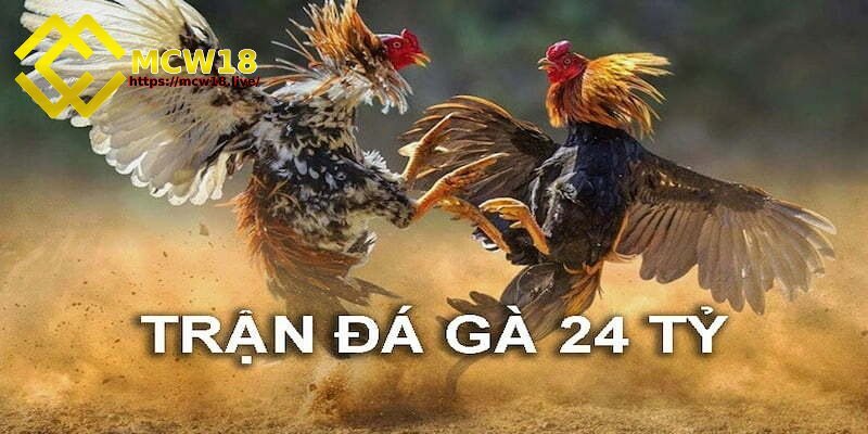 Trận đá gà 24 tỷ - Sự kiện chấn động mà sư kê nên biết 1 Một số thông tin xoay quanh trận đá gà 24 tỷ
